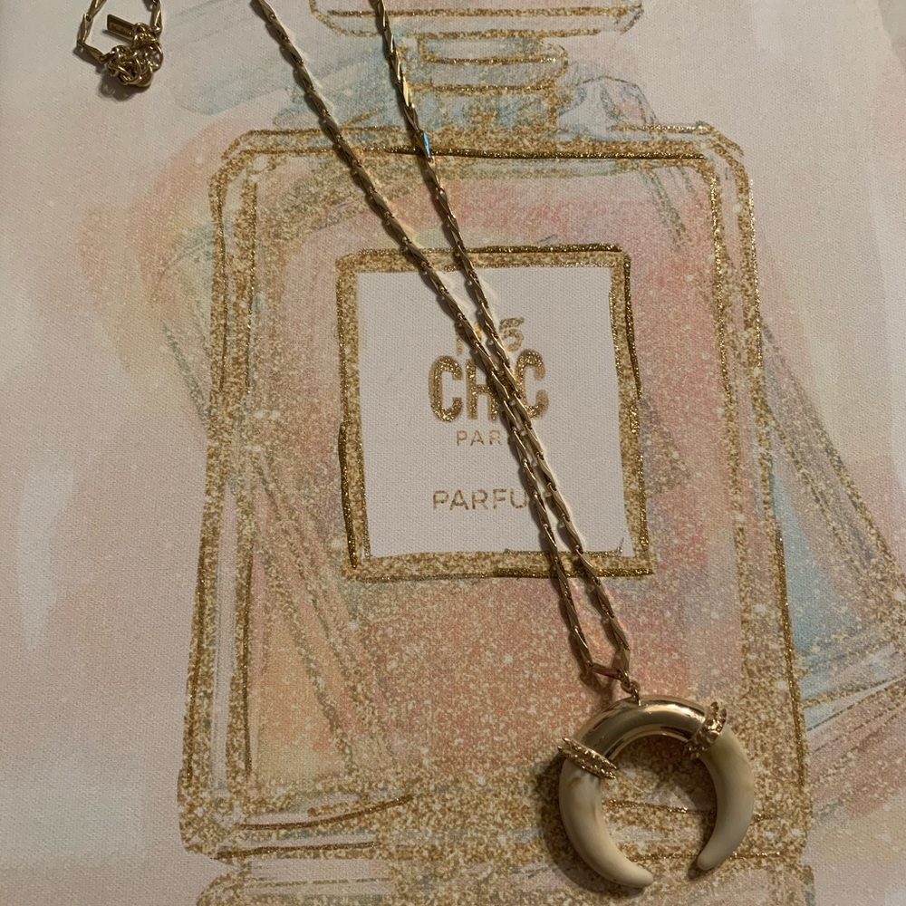 BaubleBar Necklace